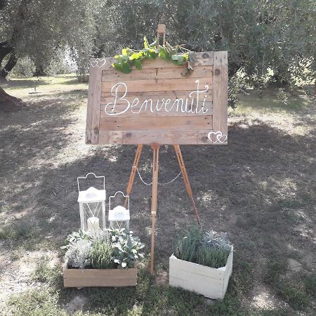 Agriturismo Fonteregia Montecatini Terme Exteriér fotografie